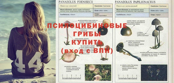 стафф Мегион