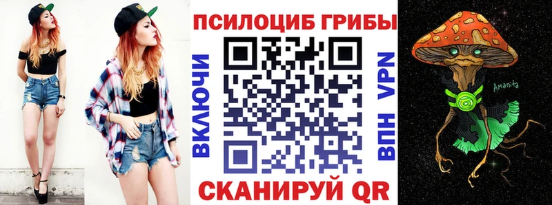 Псилоцибиновые грибы MAGIC MUSHROOMS  Купить где  Каменка 